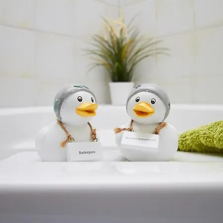 Neue Reihe 43 Regulus Eg Zingst