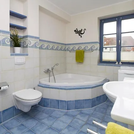 Daire Neue Reihe 43 Regulus Eg Zingst