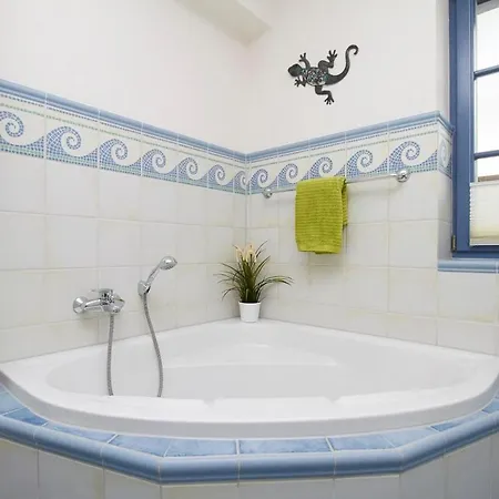 Neue Reihe 43 Regulus Eg * Zingst